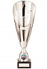 RISING STARS DELUXE SILVER CUP SERIES (TR20537X)