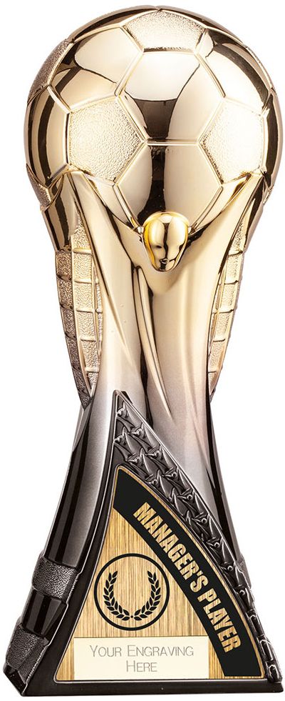 THE WORLD TROPHY GOLD TO BLACK MANAGER'S PLAYER (PM22181X)