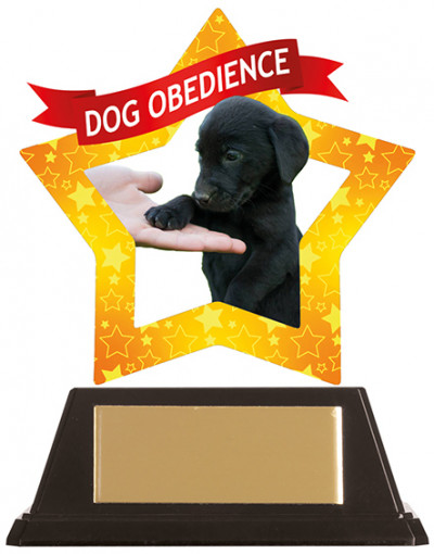 MINI-STAR DOG OBEDIENCE ACRYLIC PLAQUE (AC19653A)