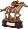 AINTREE DELUXE EQUESTRIAN AWARD (RF19139A)