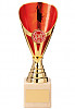 RISING STARS PREMIUM GOLD & RED CUP SERIES (TR20543X)