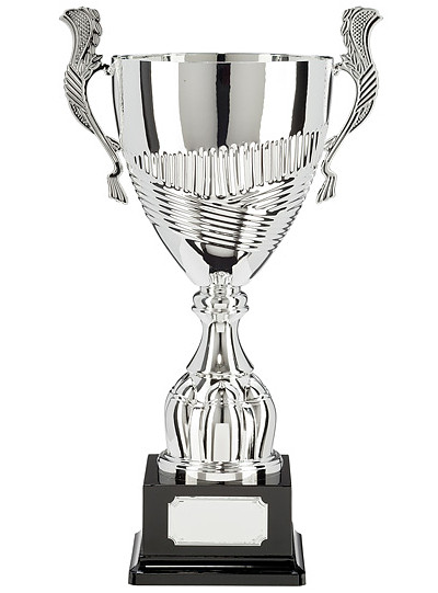 CHAMPION SILVER SUPER CUP SERIES (TR17539X)