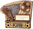 VISION FOOTBALL MANAGER'S PLAYER (RG22278A)