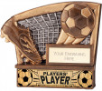 VISION FOOTBALL PLAYERS’ PLAYER (RG22282A)