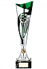 CHAMPIONS SILVER & GREEN FOOTBALL SERIES (TR20545X)