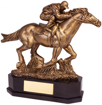 AINTREE DELUXE EQUESTRIAN AWARD (RF19139A)
